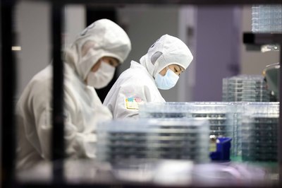 安徽合肥 多措并舉保供穩(wěn)產(chǎn) 技術(shù)開發(fā)助力高質(zhì)量發(fā)展